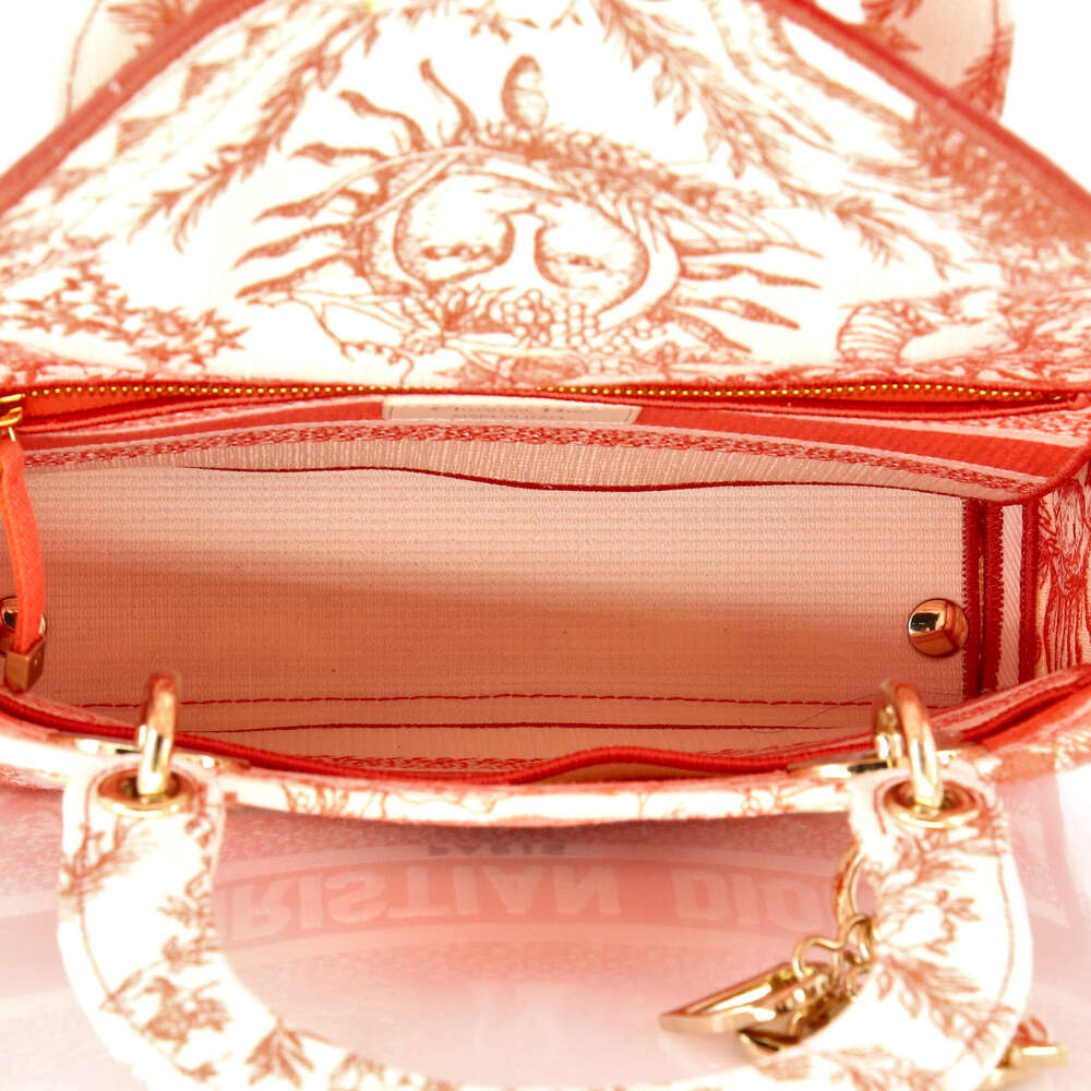 Christian Dior Medium Lady D-Lite Bag Embroidered Canvas - Picture 5 of 5